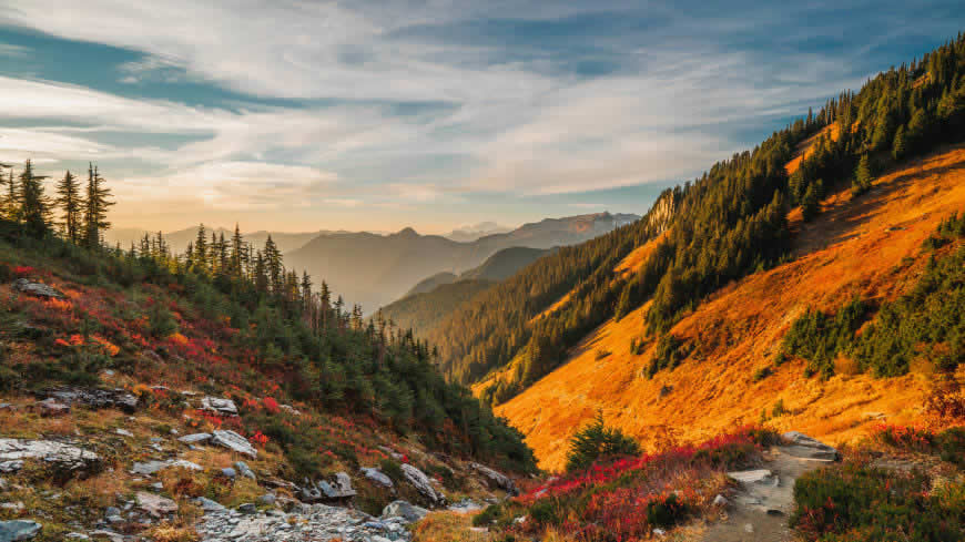 晴空万里 阳光 山脉 森林高清壁纸图片 7680x4320