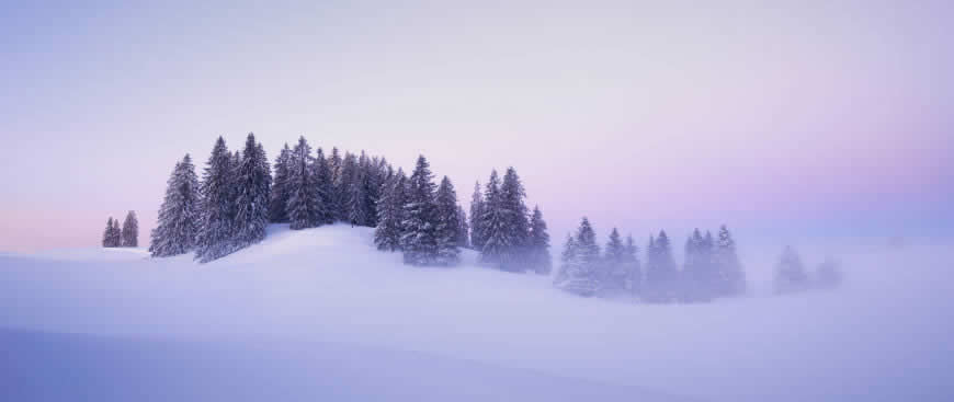 冬天 雪景 树林高清壁纸图片 5120x2160