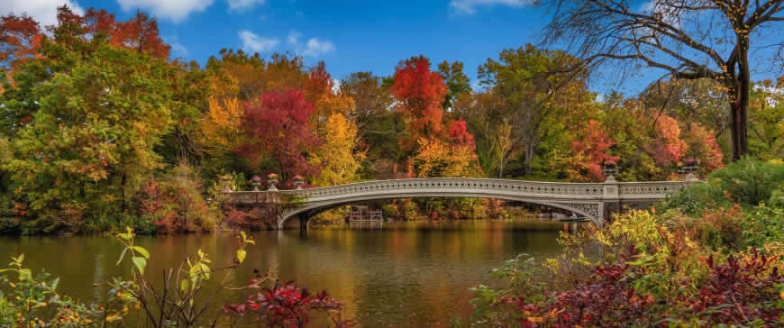 纽约 中央公园 拱桥 湖泊高清壁纸图片 3440x1440