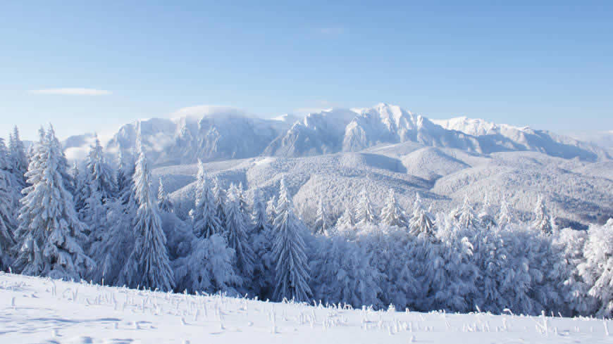 大雪覆盖的山和森林高清壁纸图片 3840x2160