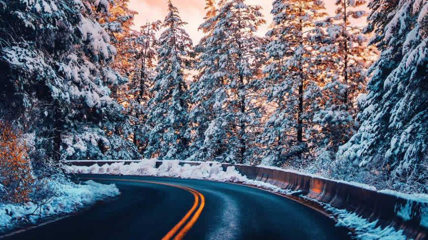 冬天树林中的公路雪景高清壁纸图片 2560x1440