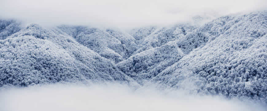 大雪覆盖的山林高清壁纸图片 3440x1440