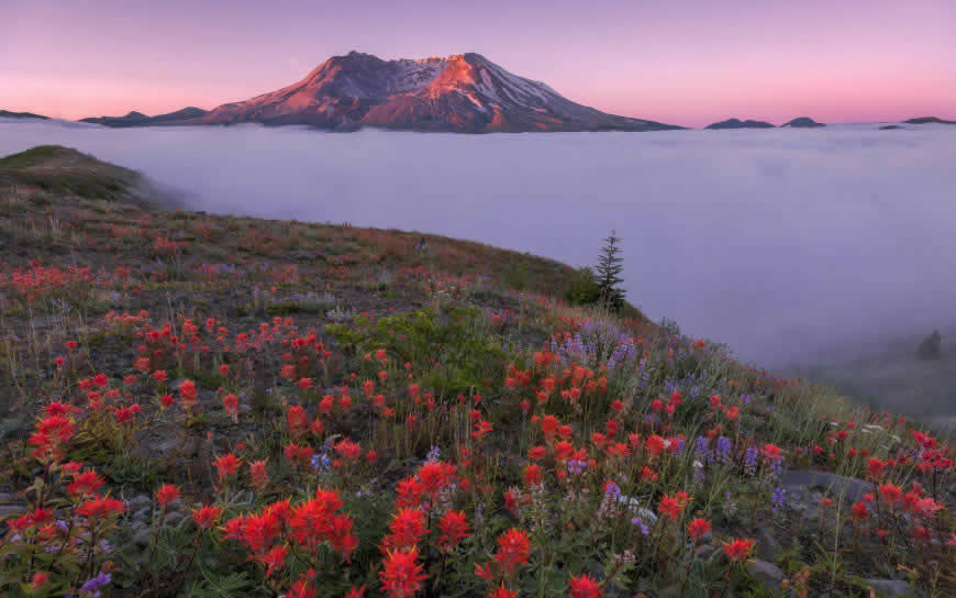 花田山脉云海风景高清壁纸图片 1920x1200