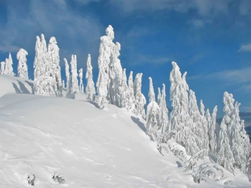 山坡上的雪景高清壁纸图片 1600x1200