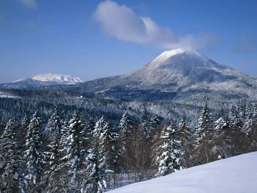 银装素裹的雪景高清壁纸图片 1600x1200